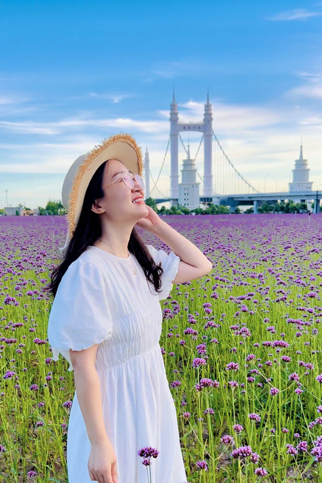 舟山旅行，這個地方也太驚喜了！！！
