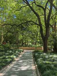 城市公園圖鑑：上海人民公園