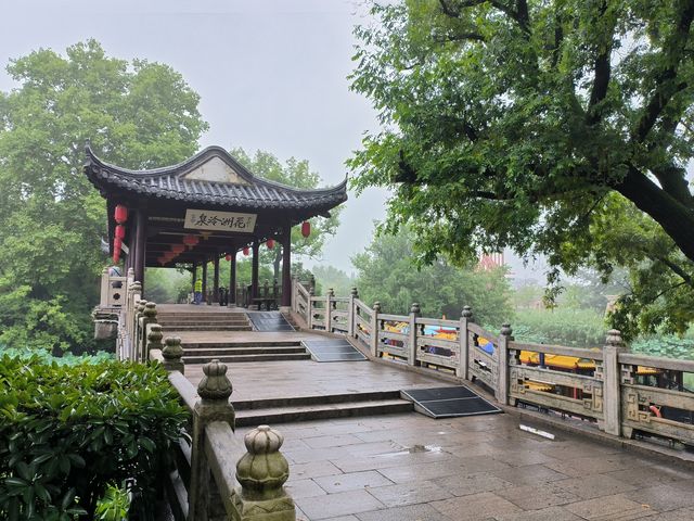 荷聚金山