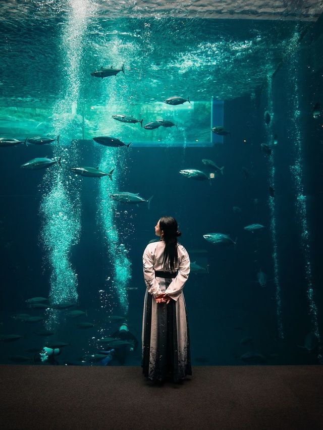 日本水族館大集合！📸
