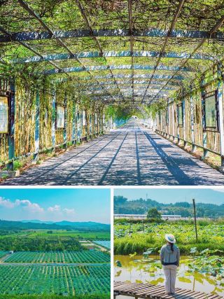 The old educated youth dormitory in Dexing, Jiangxi, now a tourist attraction, here comes the guide