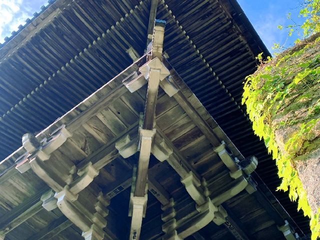 姬路城：風格獨特，歷史悠久