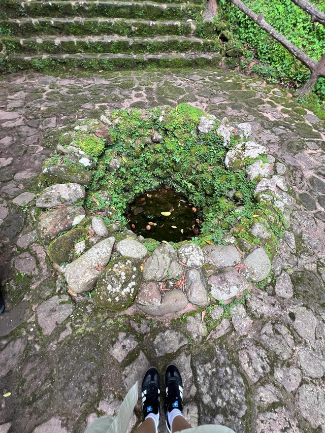 雲南秘境|西盟·龍魔爺聖地