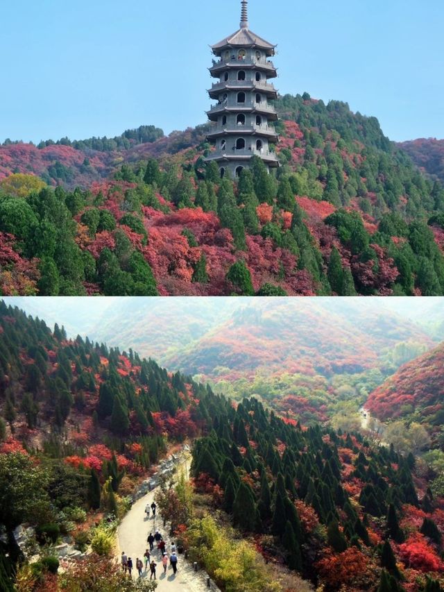 濟南紅葉谷！如詩如畫，秋意盎然的童話世界！。