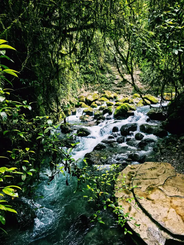 Dazhou Bashan Grand Canyon | Explore the wonders of nature. 