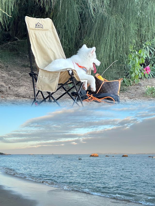 今天的廈門海邊真的太美了。