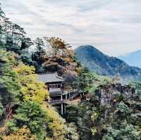 來羊獅慕爬山啦