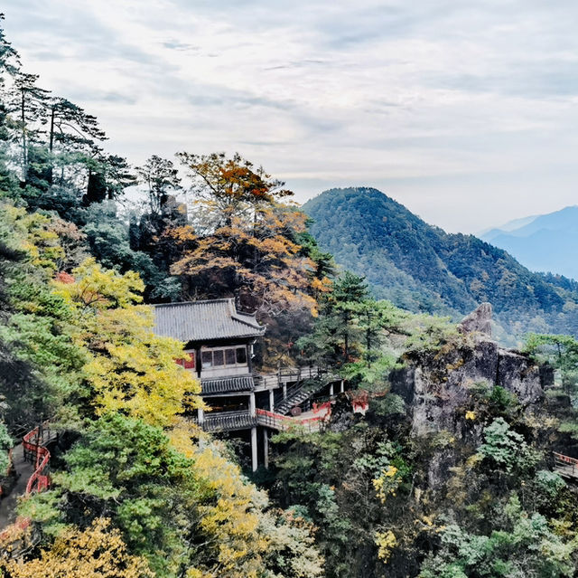 來羊獅慕爬山啦