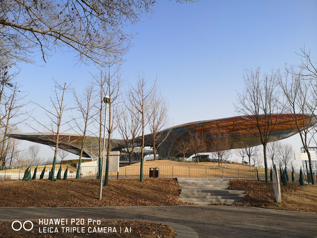 北京遊之四：冬天的世園公園。