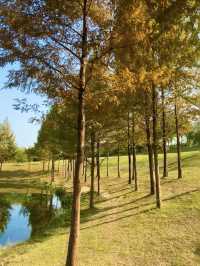 武漢周末好去處！公園郊遊！。
