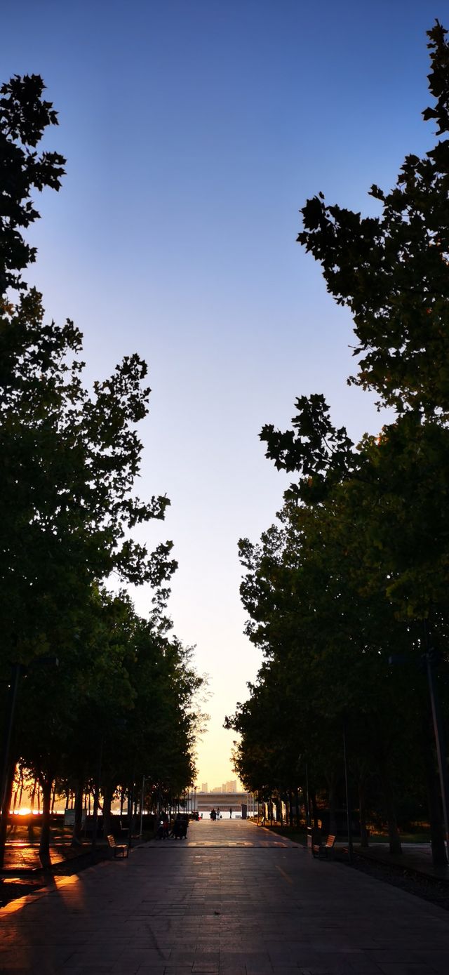 濱州市最大的公園——中海公園。