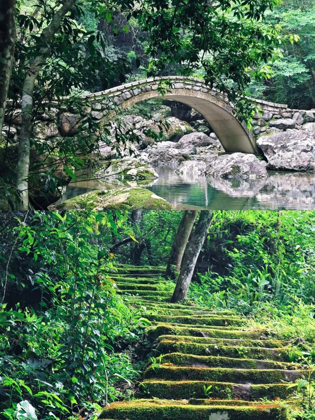 畲族風情與山水畫卷。