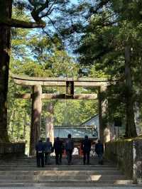 Exploring the Cultural and Natural Heritage of Nikko