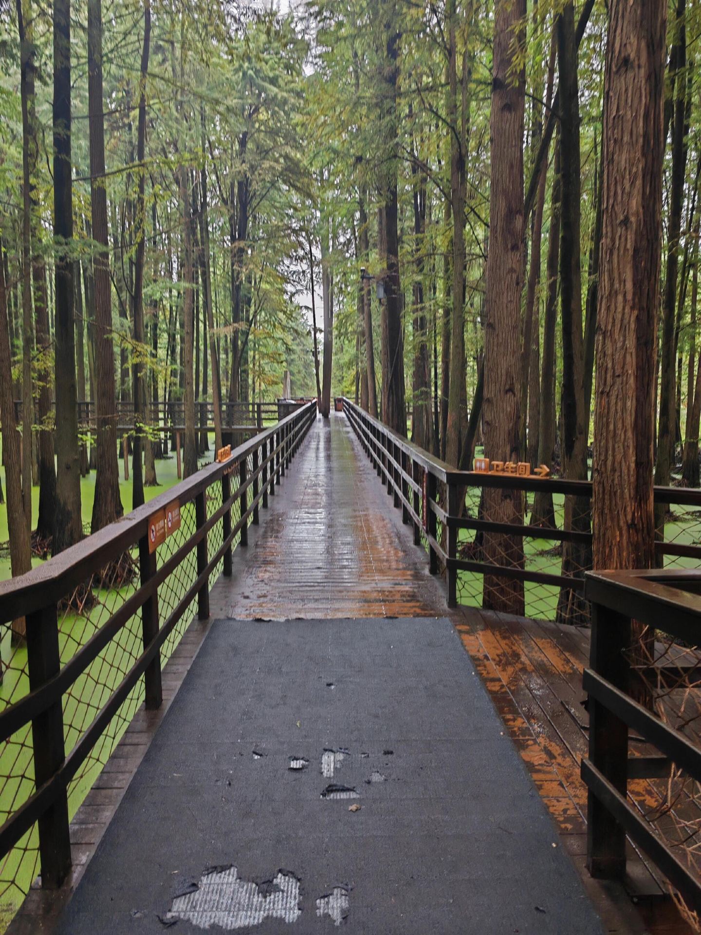 ทะเลสาบหนานชางชิงซาน