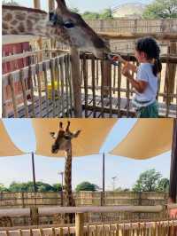 迪拜野生動物園打卡（附詳細攻略）。