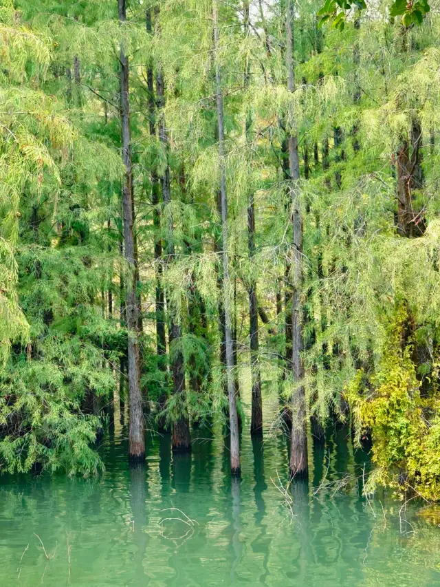 สัมผัส "ฟอสซิลมีชีวิต"