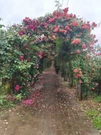 黃岡英山四季花海之溫泉。