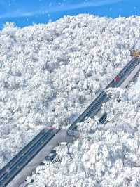 龍頭山又下雪啦天花板級別的冰雪世界！