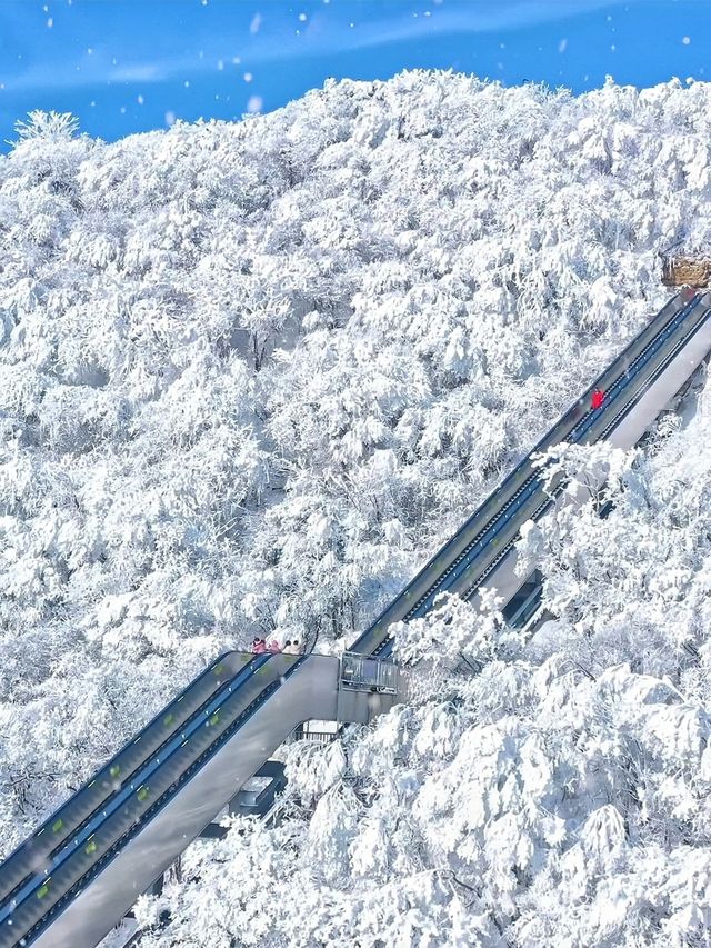 龍頭山又下雪啦天花板級別的冰雪世界！