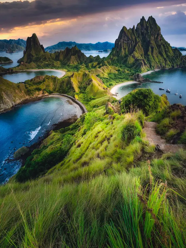 Komodo Island Romantic Beach + Wild Animals
