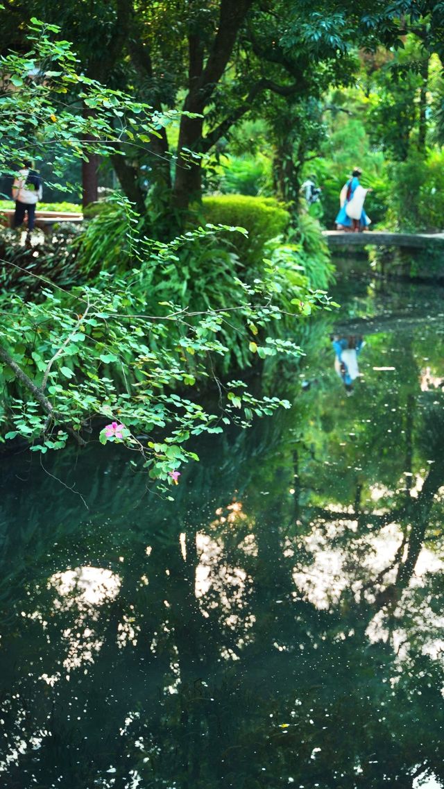 出發偶遇可愛萌物們｜蘭圃公園的貓貓展又來啦