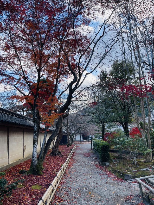日本·京都嵐山二尊院