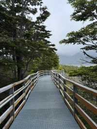 【冰川奇蹟】阿根廷莫雷諾冰川，探索南美自然奇觀