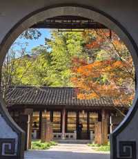 我踩過的雷，大家別踩了！天平山賞楓，不為人知的細節揭秘！