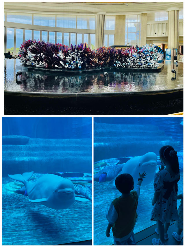 海口萬寧三亞緊湊的旅行！