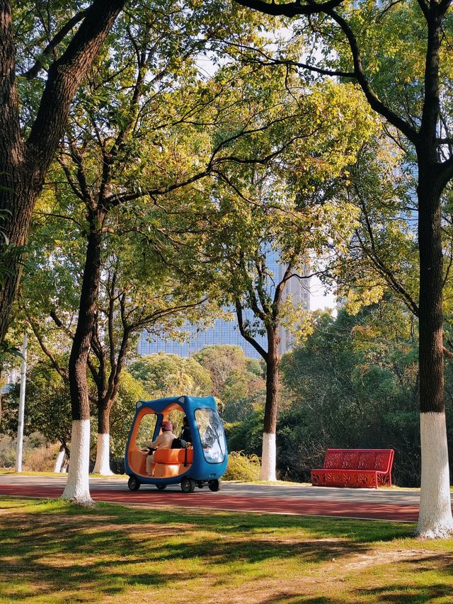 回答我！冬天來南昌一定要去這個公園