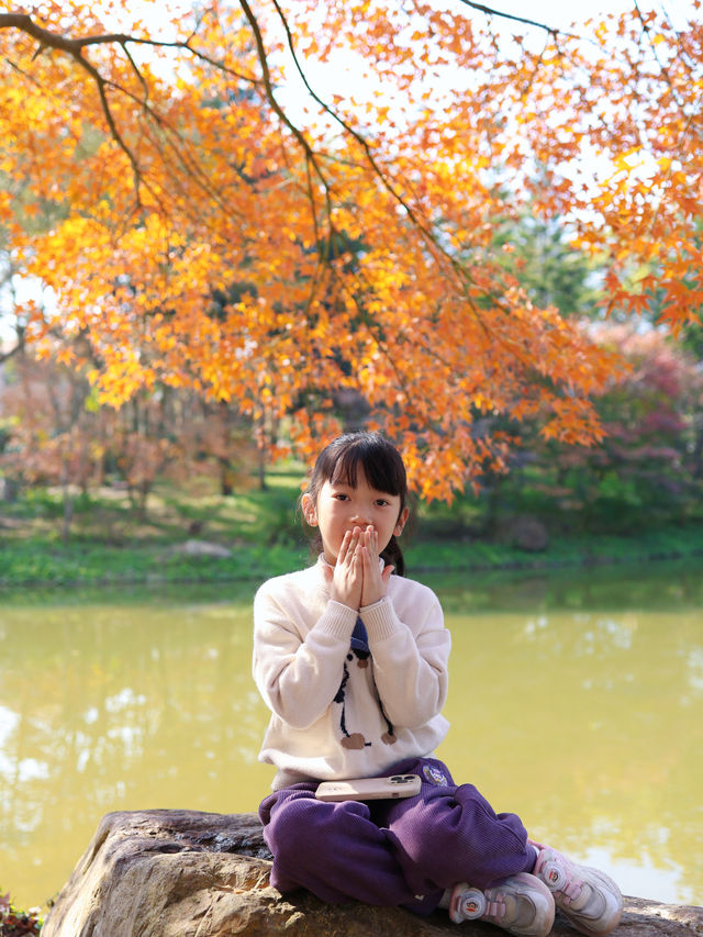 清遠田野綠世界，紅楓葉美得封神啊