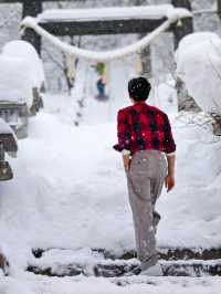 暴雪抵達藏王 化身童話世界 瘋狂出片的一天