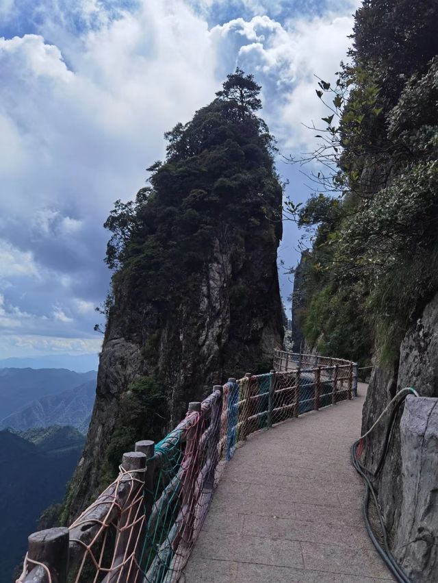 莽山森林公園：自然與寧靜交織的綠色天堂