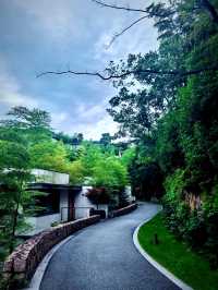 湖州慧心谷|住進山頂 villa 躺看千畝竹海茶園