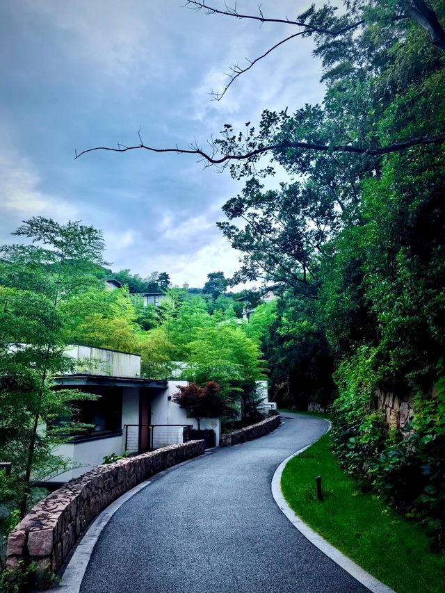 湖州慧心谷|住進山頂 villa 躺看千畝竹海茶園