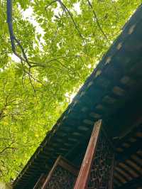 蘇州-經典必玩攻略
