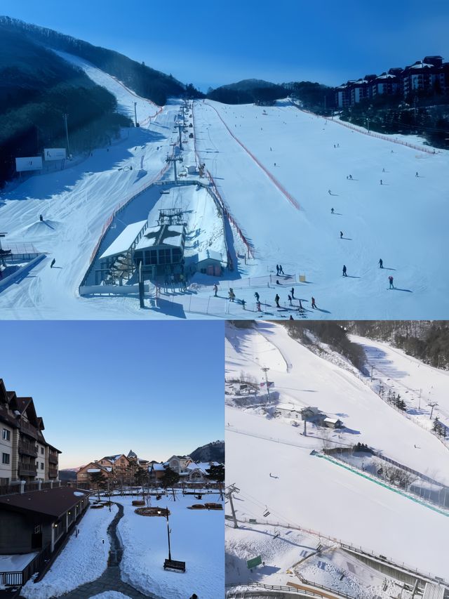 韓國平昌郡滑雪場 | 冰雪世界的夢幻寶藏地