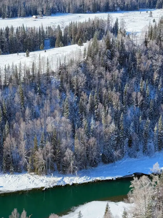 9일 신장 알타이시 등지에서 처음 스키 타기 공략 당신의 도전을 기다립니다