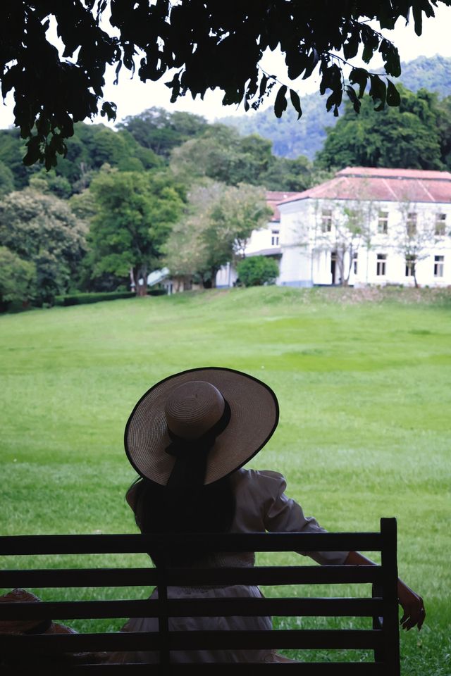 Discover the Enchanting Royal Botanical Gardens in Kandy, Sri Lanka