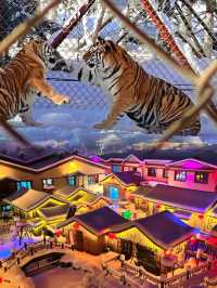 門票價格早知道