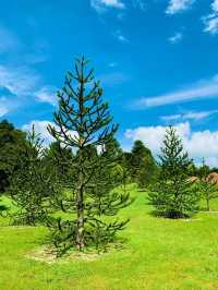 Auckland Botanic Gardens: A Scenic Escape