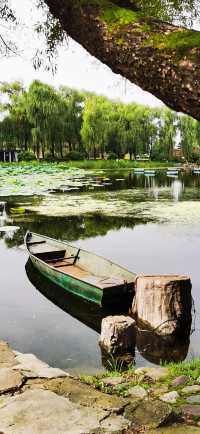 集安•蓮花公園