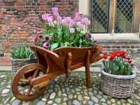 Complete Guide to the Hampton Court Palace Tulip Festival