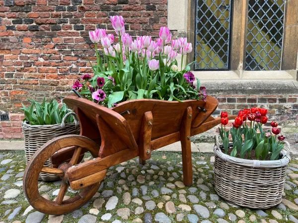 Complete Guide to the Hampton Court Palace Tulip Festival