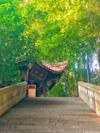 成都！明星都來的開運寺廟——普照寺