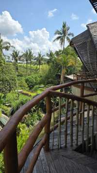巴厘島度假推介|Ulaman Eco Luxury Retreat 探索大自然之美   酒店：Ul