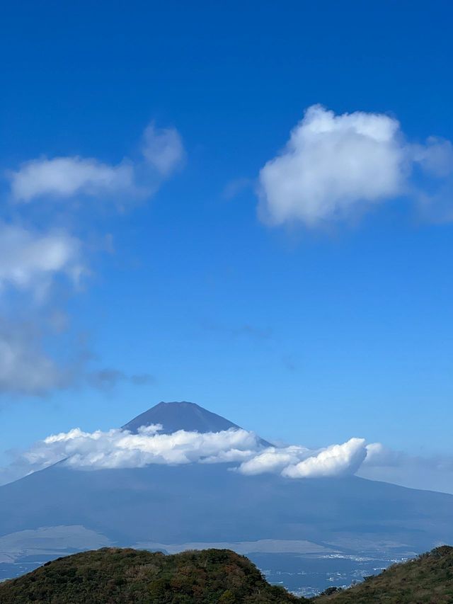 寒假去日本 美到喊出來別錯過