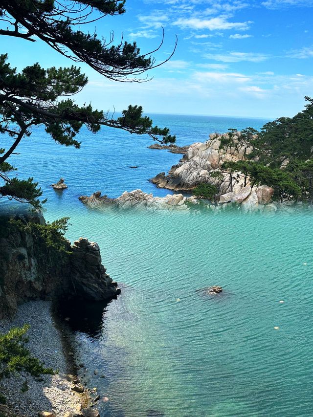 蔚山旅遊全指南：交通、門票、美食、拍照機位，一篇搞定！