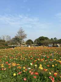 免門票，0元走進七彩莫奈花園～