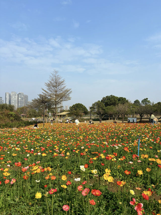 免門票，0元走進七彩莫奈花園～